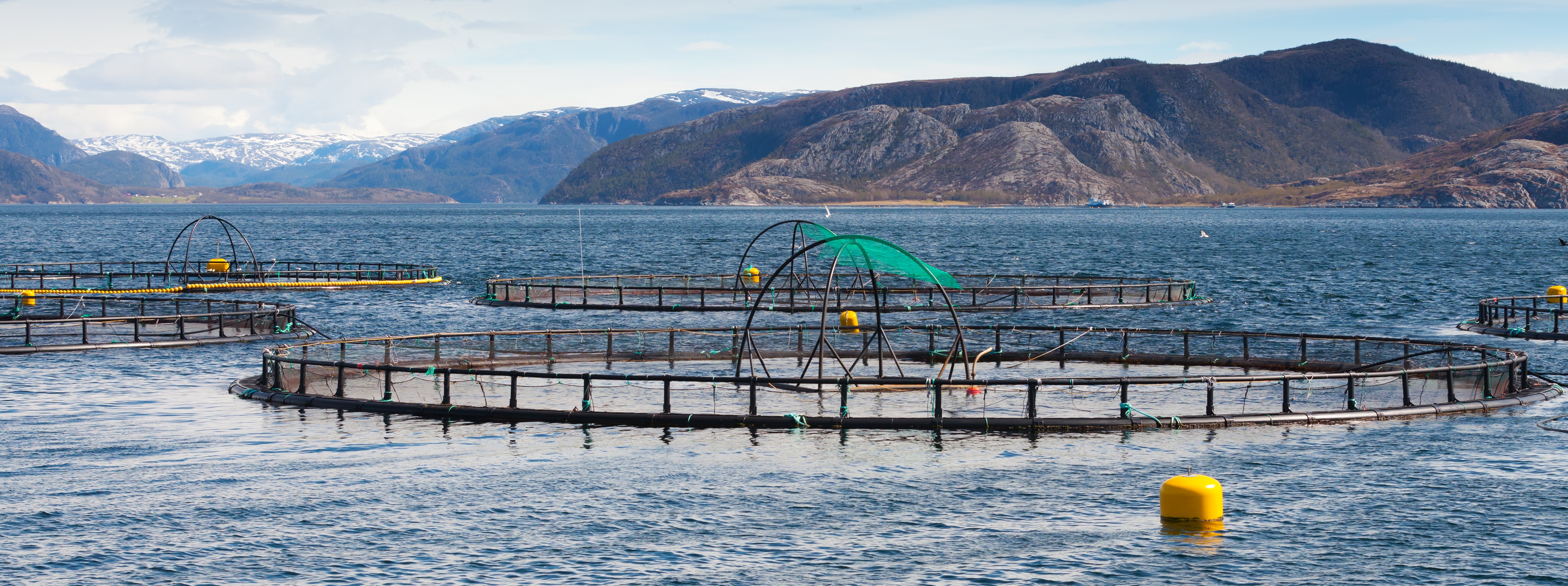 aquaculture-banner